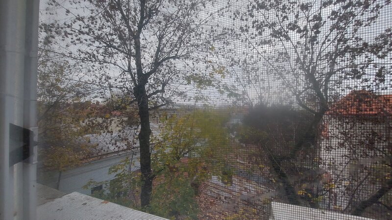 Bucur Obor, Liceu Iulia Hasdeu,