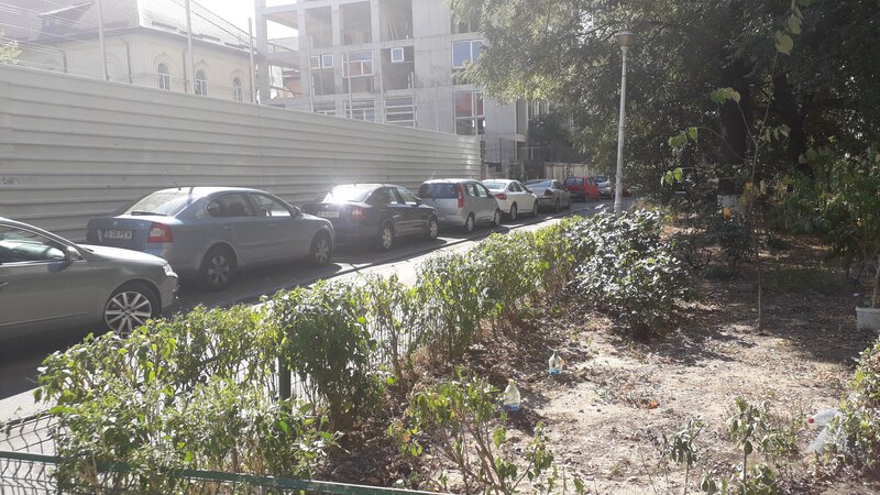 Bucur Obor, Liceu Iulia Hasdeu,